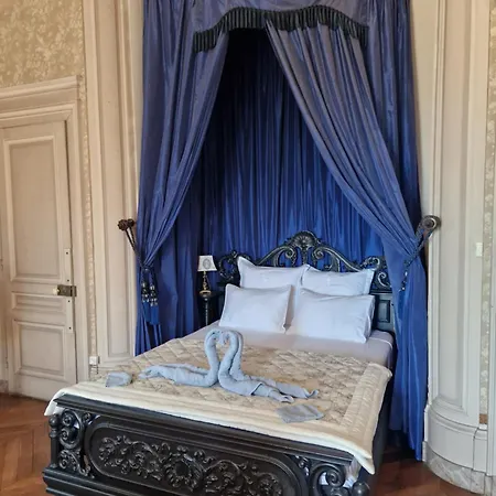 Chateau De Saint Bonnet Les Oules Room photo